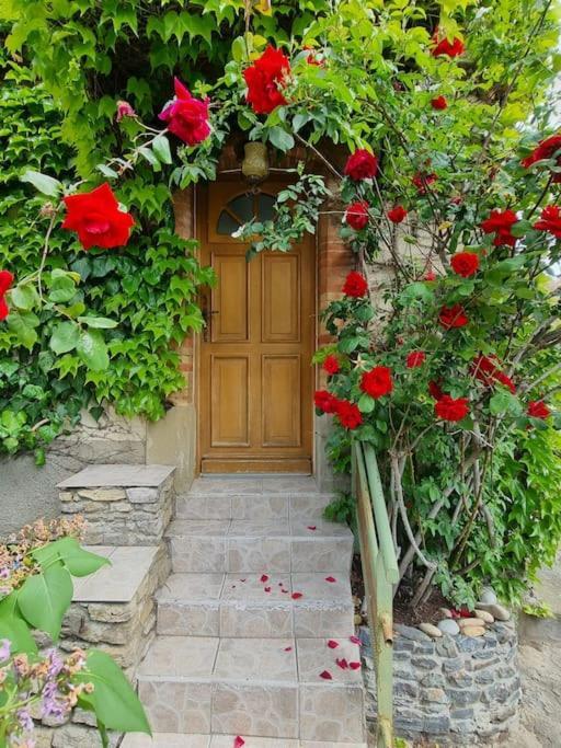 Maison Ideale Pour Une Famille Καρκασόν Εξωτερικό φωτογραφία